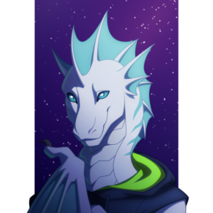 a portrait of an anthropomorphic wyvern standing before a night sky and wearing a hoodie. Below him is the name "Netherwing"