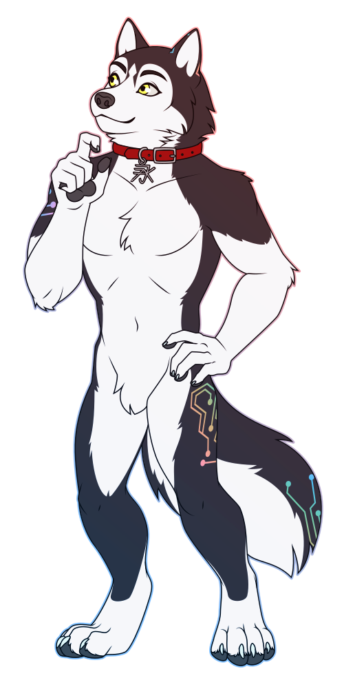 A flat-colored illustration of an anthro wolf with black and white husky-like markings. He wears a collar and has a smattering of rainbow markings that resemble circuits. He appears to be thinking.