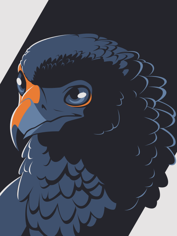 A vector portrait of an anthro bateleur eagle, drawn in flat colors: light gray, three shades of gray-blue, and bright orange