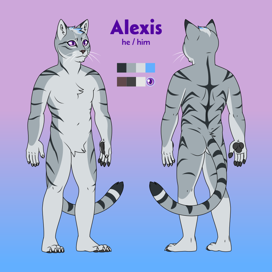 A ref sheet of a gray cat named Alexis. He uses he/him pronouns. He has a tuft of light fur with blue streaks on the top of his head, amethyst eyes, and a smattering of dark stripes on his body.