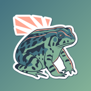An abstract flat color illustration of a Woodhouse toad, with a color scheme of blue-green and light orange-pink