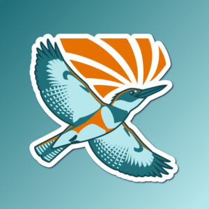 An abstract flat color illustration of a belted kingfisher, with a color scheme of teal and dark orange